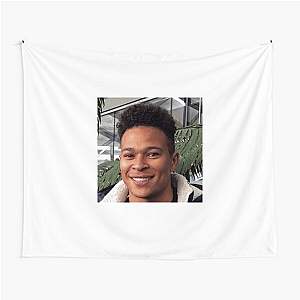 Cole Anderson-James YouTube Star Cole Anderson James Tapestries