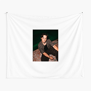 Inspired by Connor Price Connor Price Tapestries