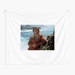 Cosmos A Personal Voyage The Shores Of The Cosmic Ocean Cosmos A Personal Voyage Tapestries