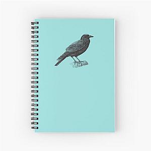 Counting Crows Spiral Notebook