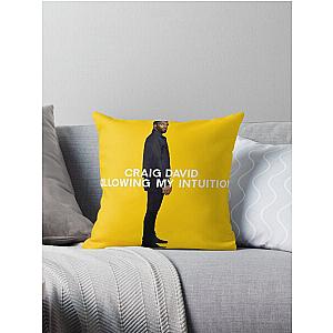 Craig David following my intuition Throw Pillow