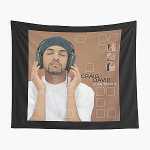 Craig David born to do it Tapestry