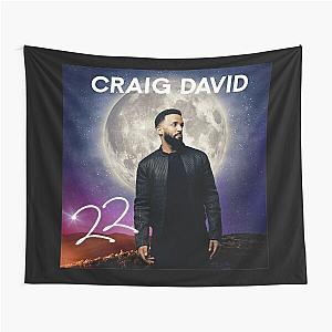 Craig David 22 Tapestry