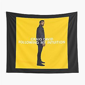 Craig David following my intuition Tapestry