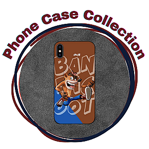 Crash Bandicoot Cases