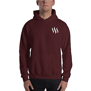 Steem Merch – Men’s Embroidered Hoodie TCP1607