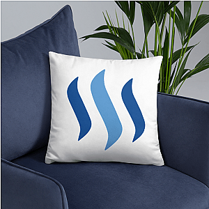 Steem Merch - Pillow TCP1607