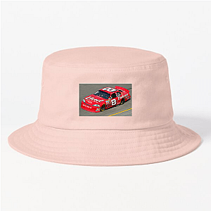 Stock Car Royalty Dale Earnhardt Jr Hats & Caps