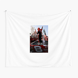 Daytona 500 Champion Dale Earnhardt Jr Tapestries