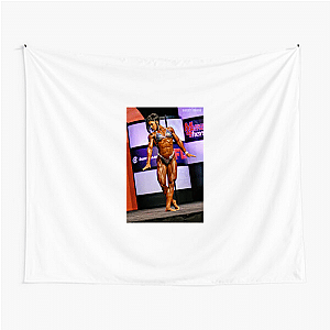 Unstoppable Like Dana Linn Bailey Dana Linn Bailey Tapestries