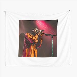 Daniel Caesar Concert Singing Aesthetic Print Tapestry