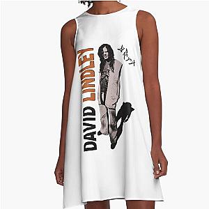 David Lindley El Rayo X Reggae Mercury Blues Rock A-Line Dress