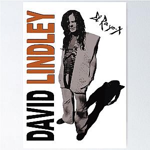 David Lindley El Rayo X Reggae Mercury Blues Rock Poster