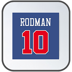 Dennis Rodman Posters