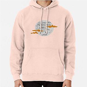 I paused my destroy lonely to be here Pullover Hoodie RB1910