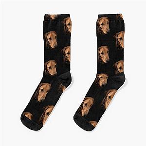 Fox Red Labrador - Dexter Socks