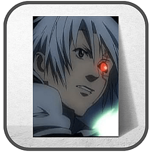 D. Gray Man Posters