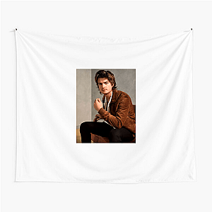 Djo Joe Keery's Sound Djo Tapestries