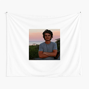 Djo Synth Pop Master Djo Tapestries