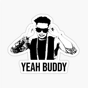 DJ Pauly D Sticker