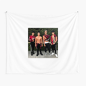 Dobre Twins Viral Vibe Tribe Dobre Twins Tapestries