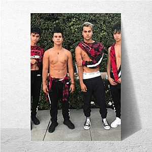 Dobre Twins Viral Vibe Tribe Dobre Twins Posters