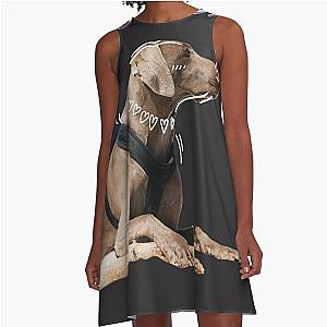 Cute DogDay  A-Line Dress