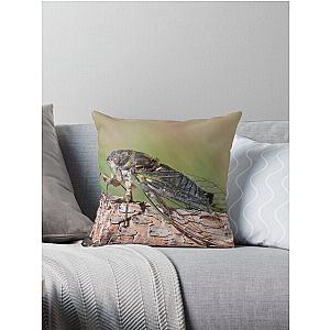 Dogday Harvestfly (Cicada) Throw Pillow