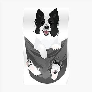 Dog In Pocket Posters - Border Collie Dog in a Pocket Poster RB1011