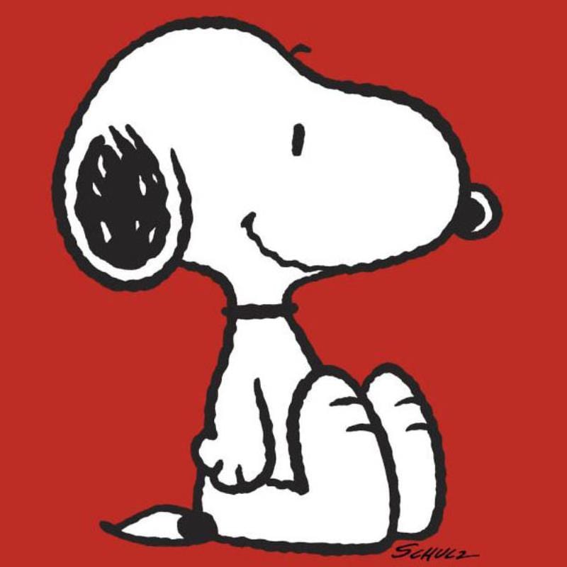Snoopy Merch Magic: Must-Have Items for Movie Fans!