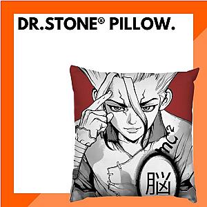 Dr. Stone Pillows