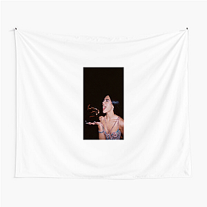 Dua Lipa Global Superstar Dua Lipa Tapestries