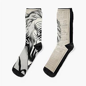 Albert Einstein formulas Socks