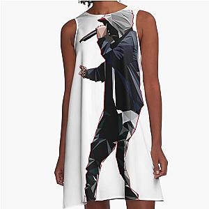 EMINEM Classic A-Line Dress