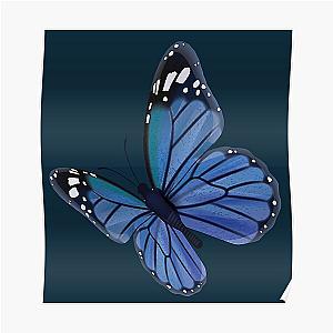 Encanto Butterfly Poster RB3005