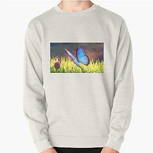 Encanto butterfly Pullover Sweatshirt RB3005