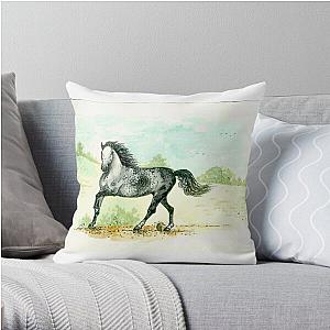 Encanto Throw Pillow RB3005