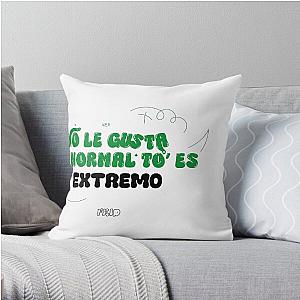 FEID PHRASES Throw Pillow RB2707