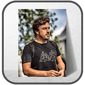 Fernando Alonso Posters