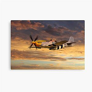 P-51 Frankie Canvas Print