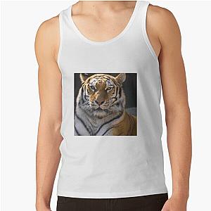 Ferocious Tanks