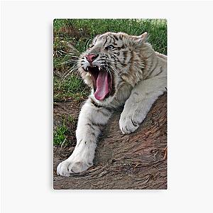 Ferocious Baby Canvas Print