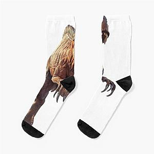 Ferocious dinosaurs