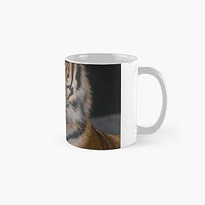 Ferocious Classic Mug