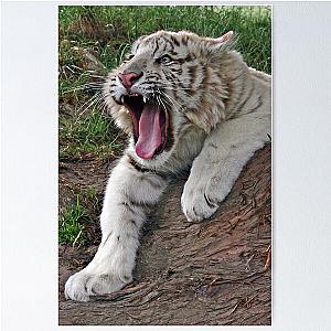 Ferocious Baby Poster