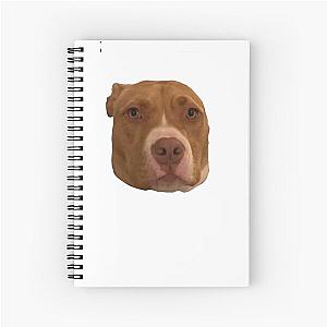 Finneas peach Spiral Notebook