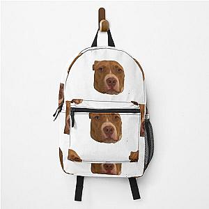 Finneas peach Backpack