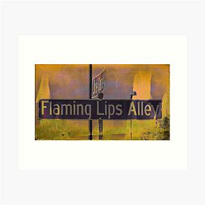 Flaming Lips Alley Art Print