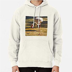 Flim Flam Hoodies - Flim Flam Flamingo Pullover Hoodie RB0106 [ID8071]