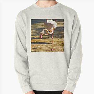 Flim Flam Sweatshirts - Flim Flam Flamingo Pullover Sweatshirt RB0106 [ID8201]